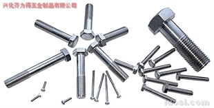 供應(yīng):316L 外六角螺栓,華人螺絲網(wǎng)提供各種供應(yīng):316L 外六角螺栓報(bào)價(jià)、價(jià)格、生產(chǎn)廠家、供應(yīng)商-興化齊力得五金制品